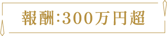 報酬300万円超